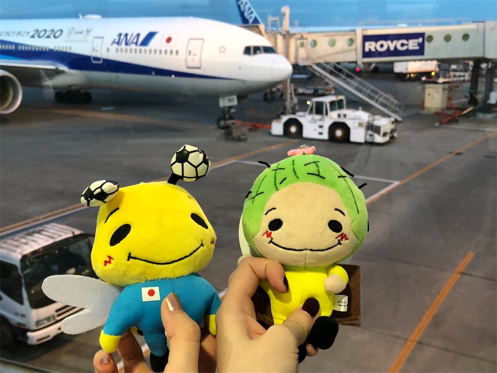 f:id:K82BIBOU6:20181106203811j:image
