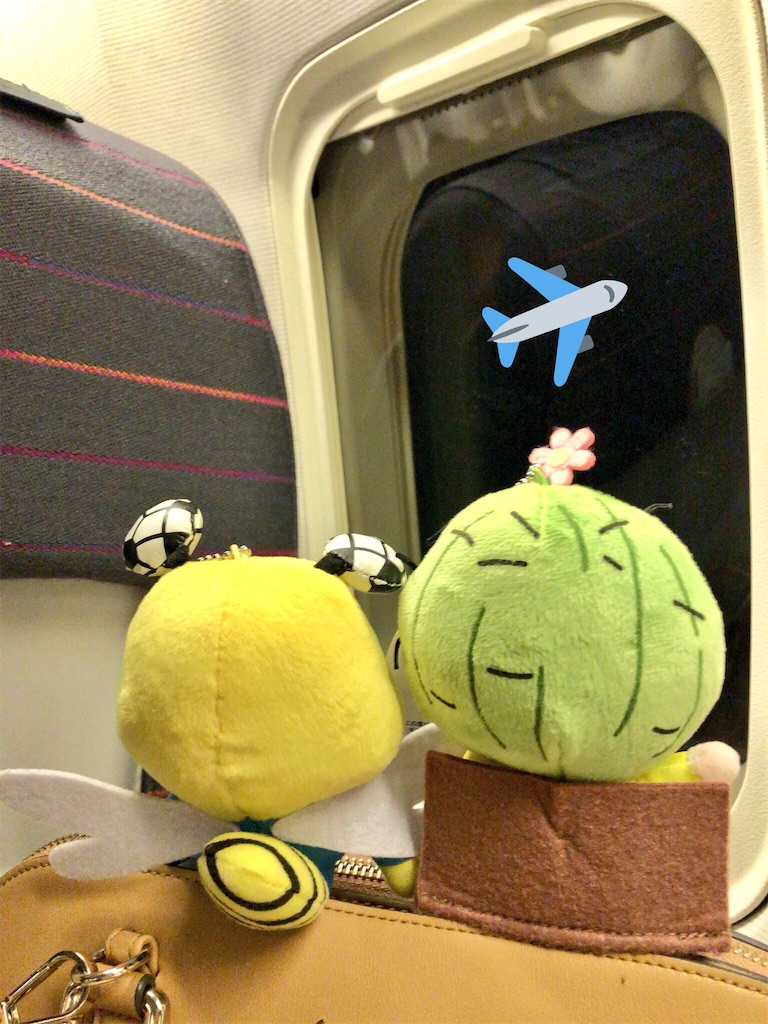 f:id:K82BIBOU6:20181110230723j:image