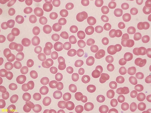 f:id:K88344193:20210214184818j:image