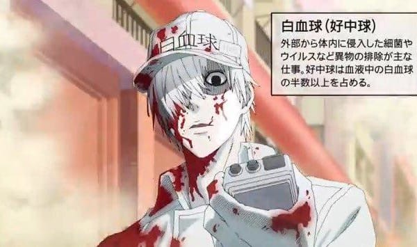 f:id:K88344193:20210220140630j:image