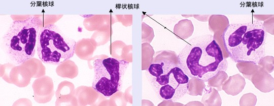 f:id:K88344193:20210220141513j:image