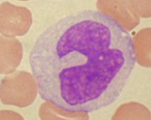 f:id:K88344193:20210227192019j:image