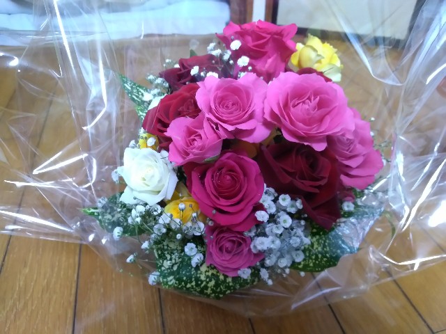 f:id:KABANEGO:20200329193314j:image