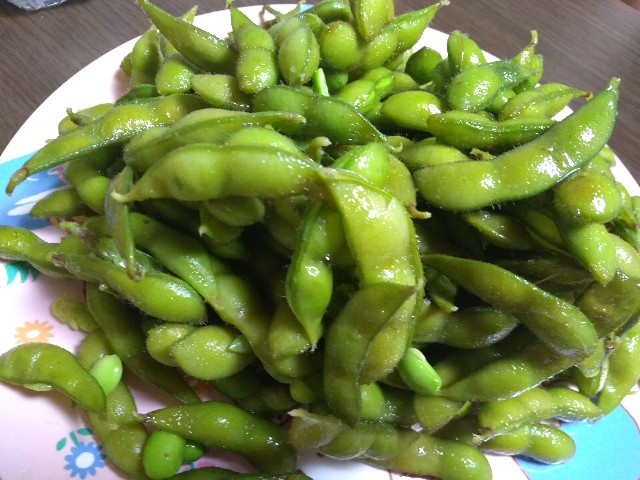 f:id:KABANEGO:20200811132254j:image