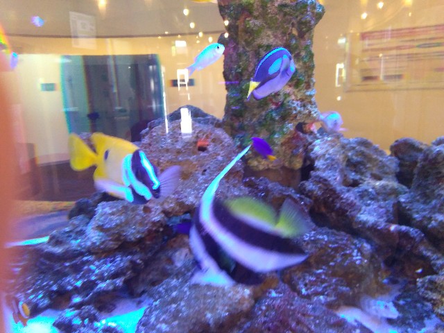 f:id:KABANEGO:20200823123213j:image