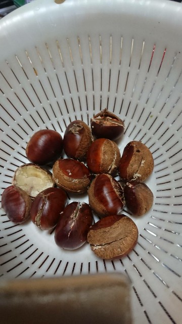 f:id:KABANEGO:20201012214202j:image