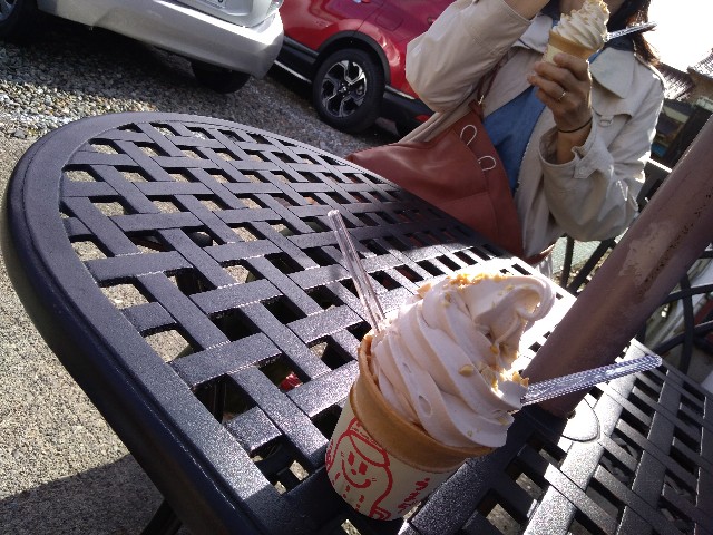 f:id:KABANEGO:20201129130052j:image