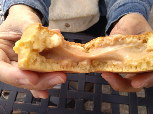 f:id:KABANEGO:20201129130122j:image