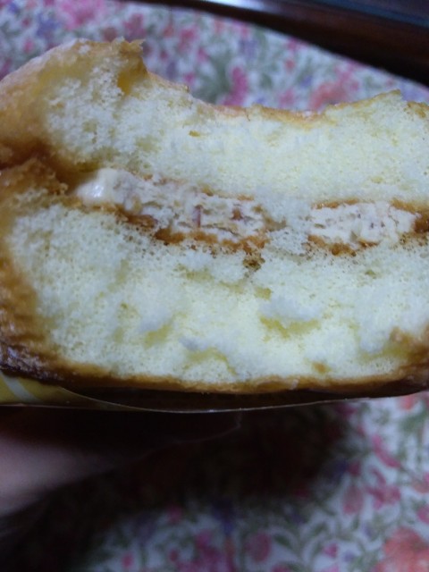 f:id:KABANEGO:20201212130323j:image