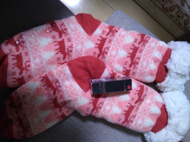f:id:KABANEGO:20201228174837j:image