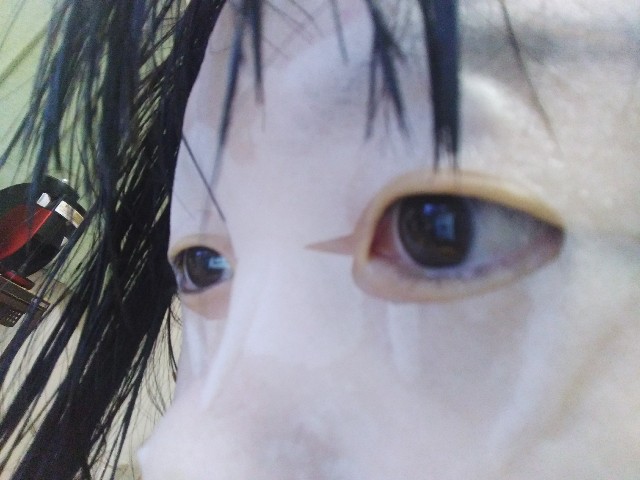 f:id:KABANEGO:20210306202647j:image
