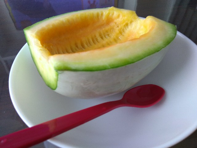 f:id:KABANEGO:20210720132528j:image