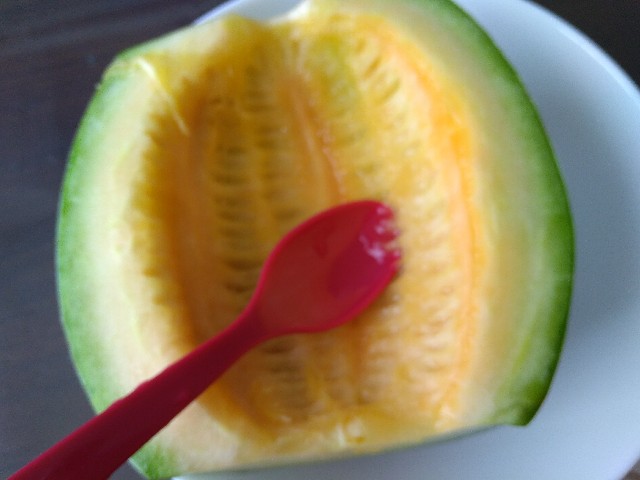 f:id:KABANEGO:20210720132534j:image