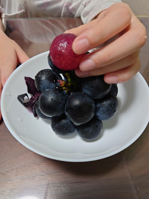f:id:KABANEGO:20210912130236j:image