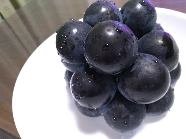 f:id:KABANEGO:20210912130248j:image