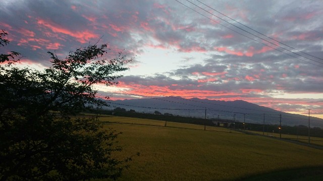 f:id:KABANEGO:20210923124737j:image
