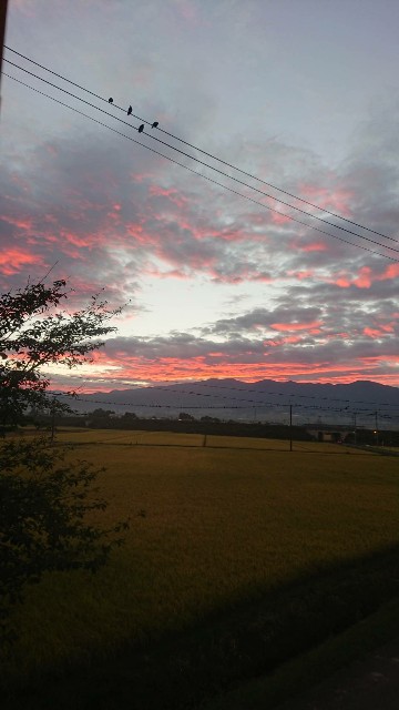 f:id:KABANEGO:20210923124853j:image