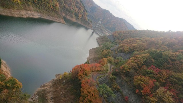 f:id:KABANEGO:20211107201936j:image