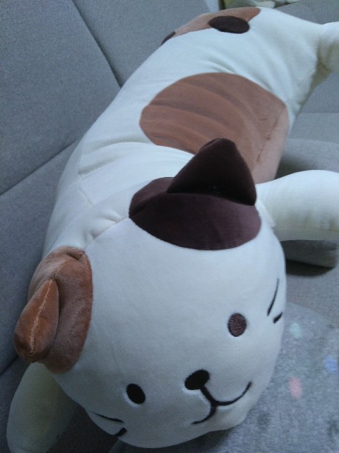 f:id:KABANEGO:20220110134208j:image
