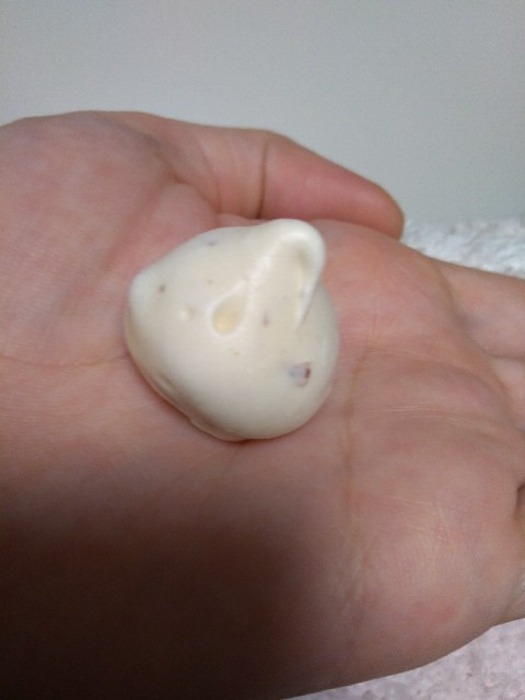 f:id:KABANEGO:20220121131003j:image