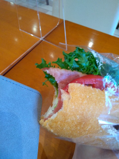 f:id:KABANEGO:20220313132255j:image