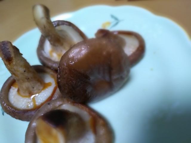 f:id:KABANEGO:20220526123139j:image f:id:KABANEGO:20220526123139j:image
