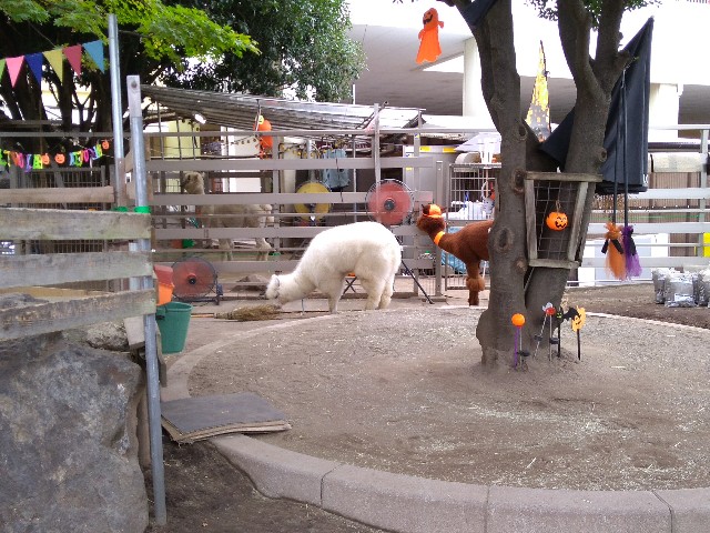 f:id:KABANEGO:20221030100246j:image