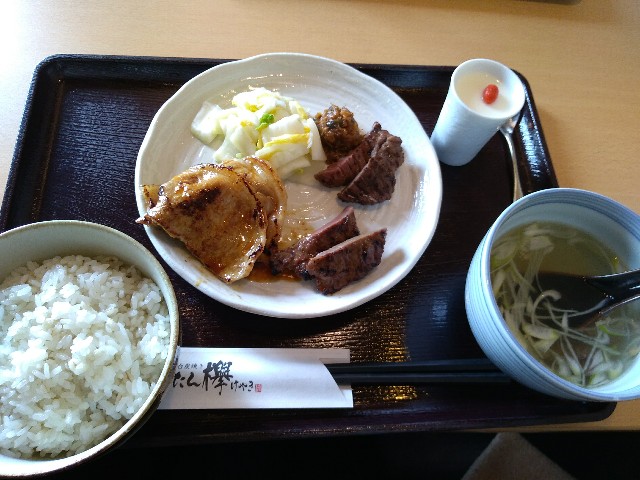 f:id:KABANEGO:20230209131253j:image