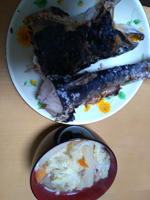 f:id:KABANEGO:20230221212810j:image
