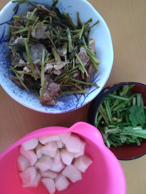 f:id:KABANEGO:20230616100205j:image