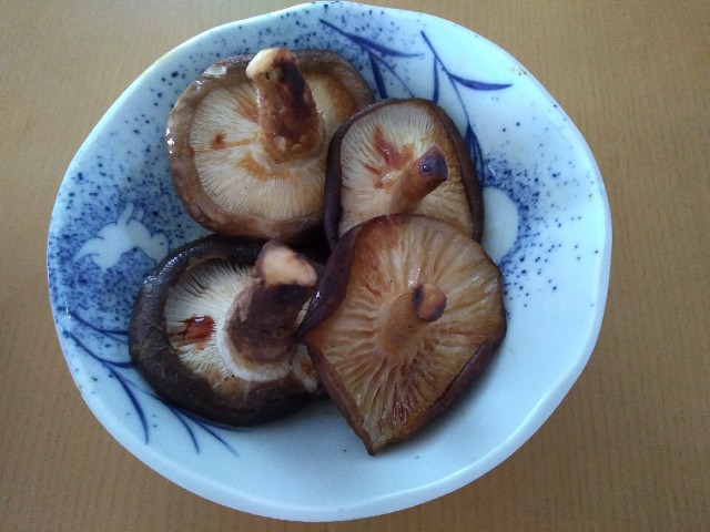 f:id:KABANEGO:20230620124309j:image