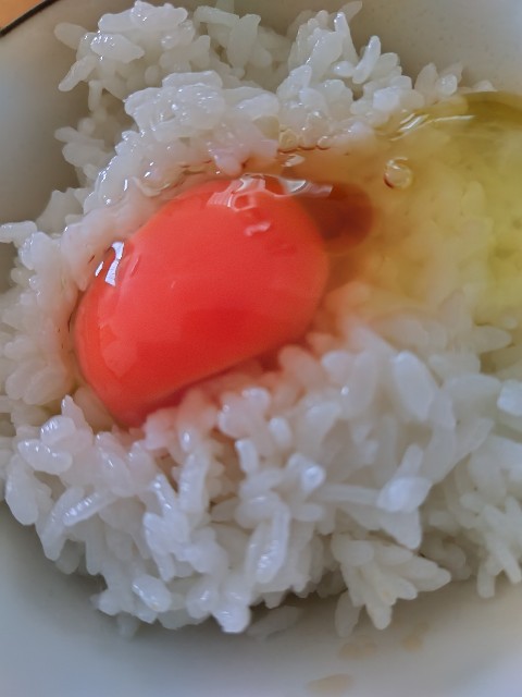 f:id:KABANEGO:20230806142404j:image