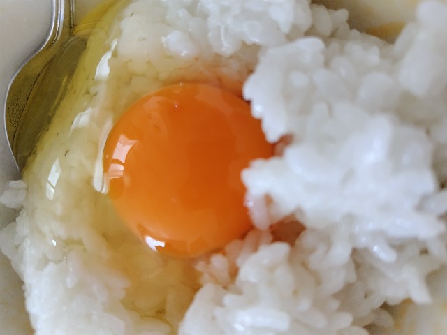 f:id:KABANEGO:20230806142412j:image