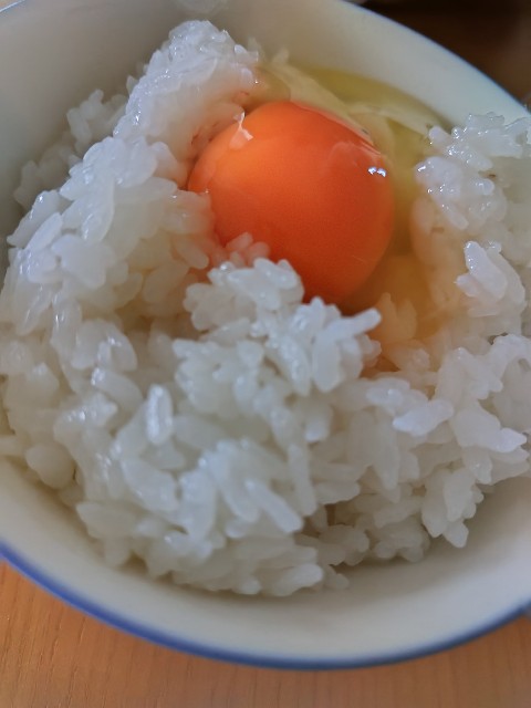 f:id:KABANEGO:20230806142433j:image