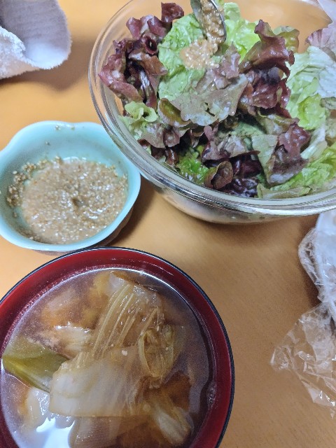 f:id:KABANEGO:20231201140909j:image