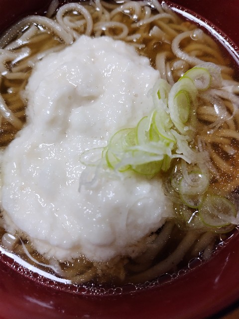 f:id:KABANEGO:20240106112044j:image