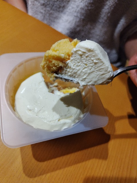 f:id:KABANEGO:20240213132908j:image