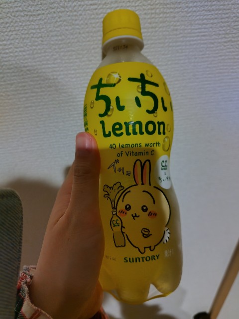 f:id:KABANEGO:20240501052433j:image