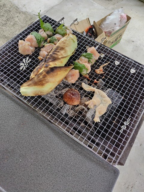 f:id:KABANEGO:20240801064213j:image