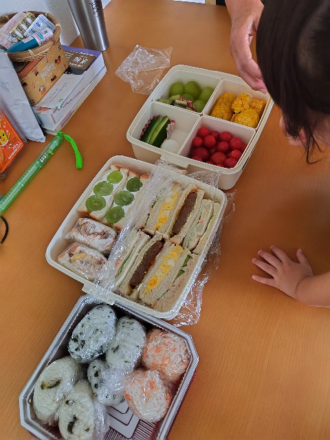 f:id:KABANEGO:20240919194506j:image
