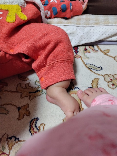 f:id:KABANEGO:20250227082855j:image
