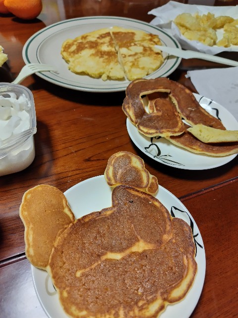 f:id:KABANEGO:20250510083029j:image