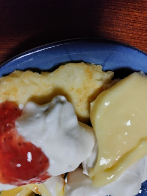 f:id:KABANEGO:20250510083041j:image