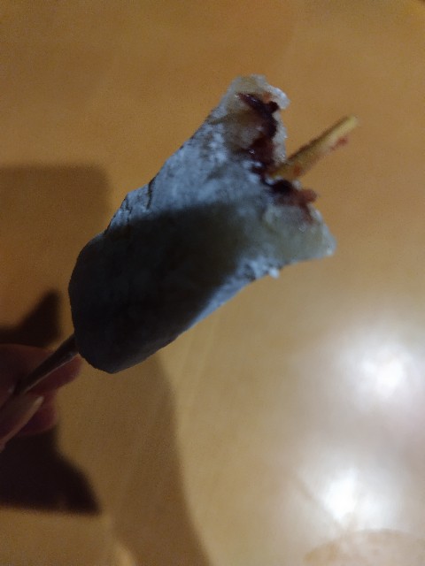 f:id:KABANEGO:20250607110629j:image