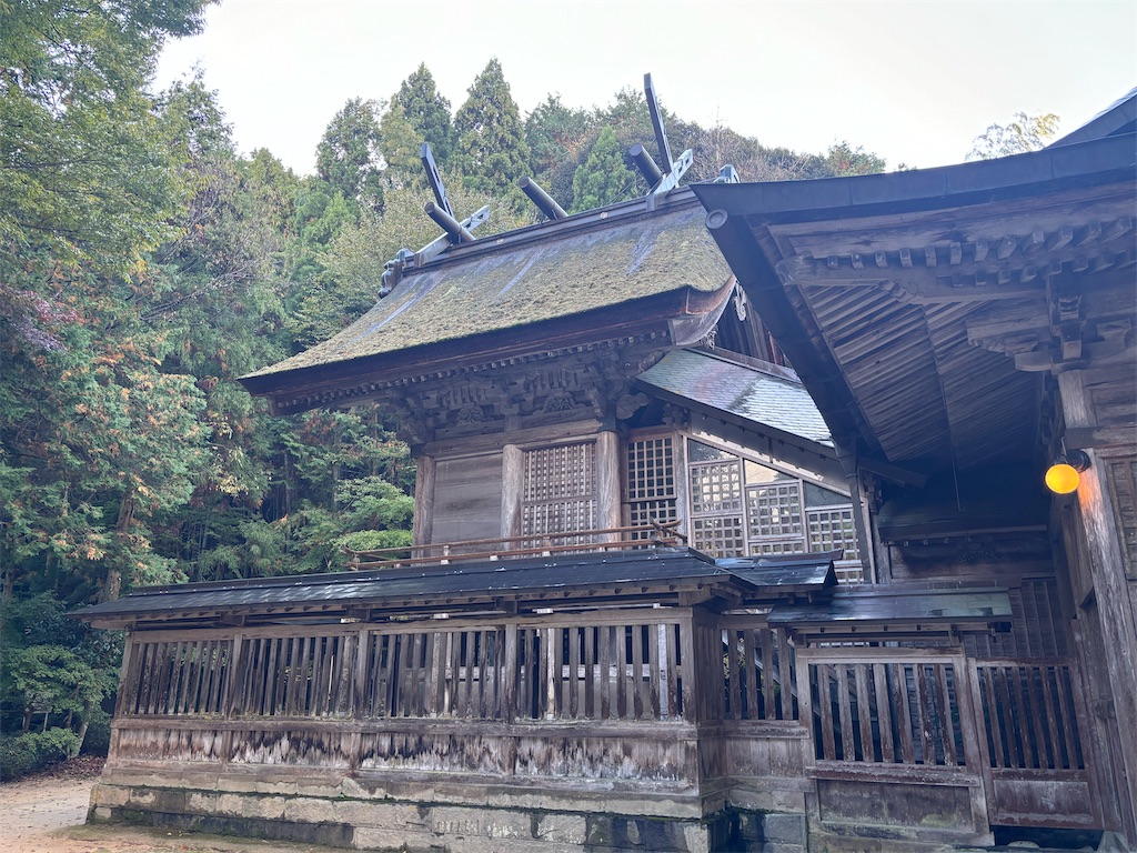 f:id:KAERU5:20241205141813j:image