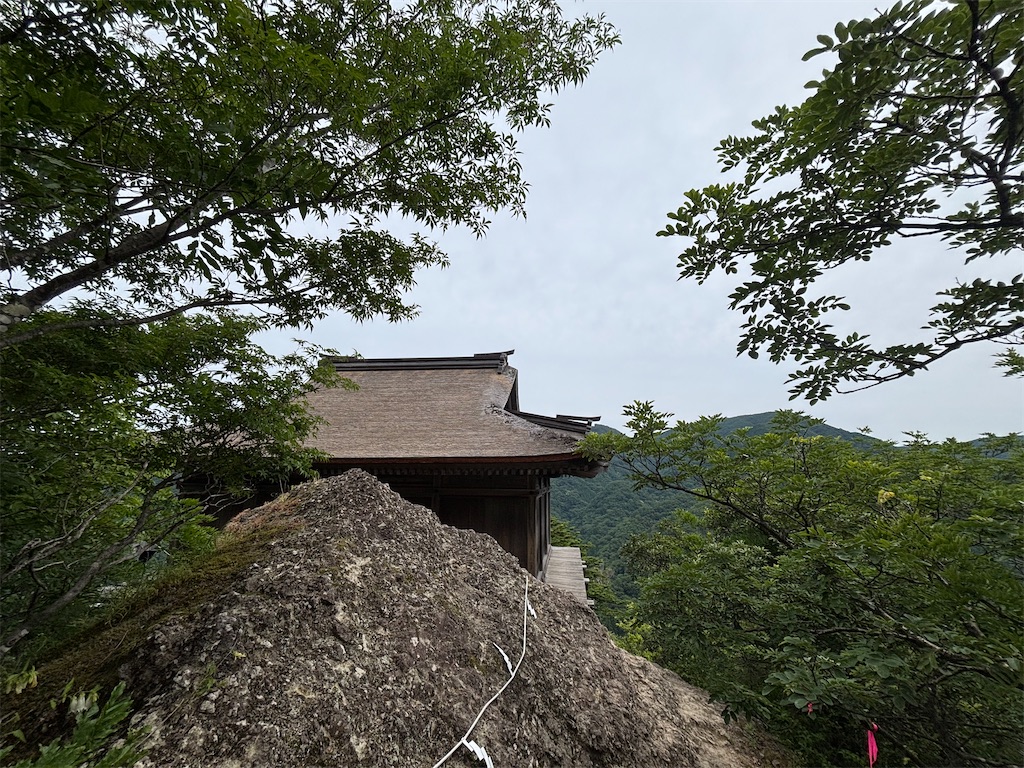 f:id:KAERU5:20260618091258j:image f:id:KAERU5:20260618091258j:image