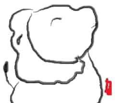 f:id:KAERUSAN:20170809145816j:plain f:id:KAERUSAN:20170809145816j:plain