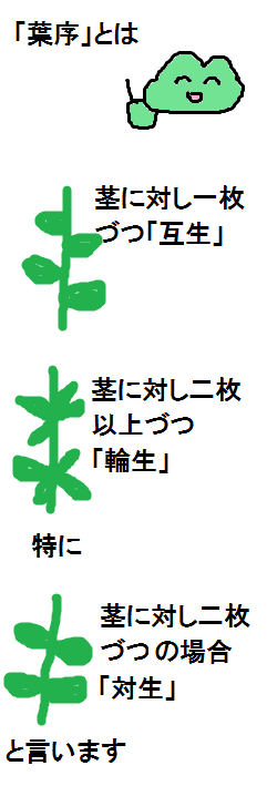 f:id:KAERUSAN:20190623135926j:plain