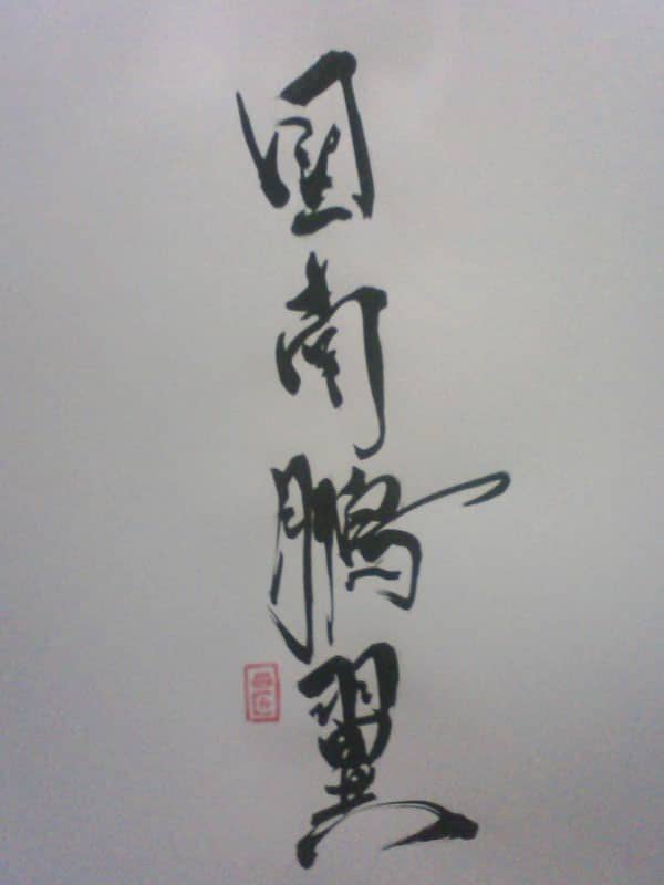 図南鵬翼 となんほうよく かえるさんとにわとりさん 四字熟語 図南鵬翼 となんほうよく かえるさんとにわとりさん 四字熟語