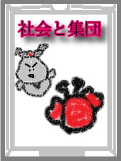 f:id:KAERUSAN:20200113030420j:plain